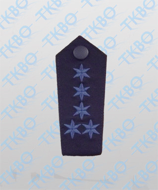 Polizei Schulterstücke blau 2 Sterne silbern Knopf schwarz 1 Paar sx8 