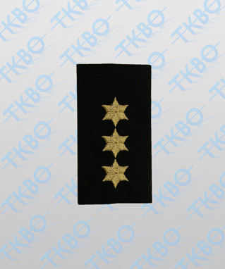 Schulterschlaufen mit 3 Sterne gold